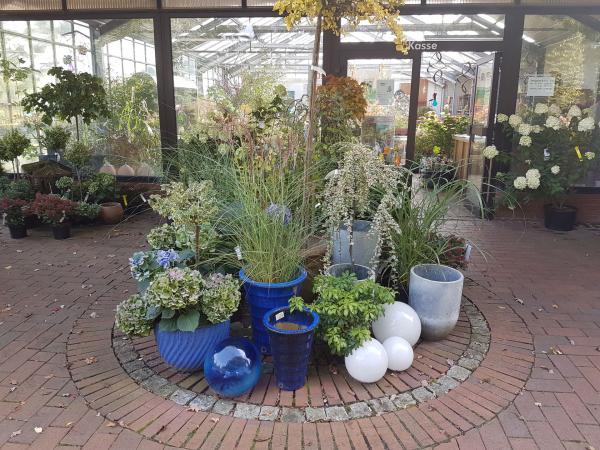 Bilder aus unserem Gartencenter
