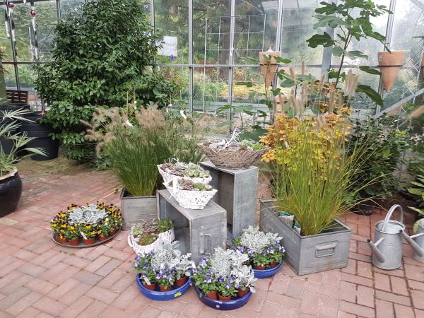 Bilder aus unserem Gartencenter